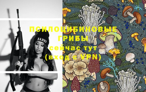 прущие крисы Кукмор