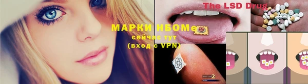 Альфа ПВП Ладушкин
