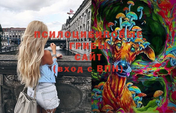 гашик Лихославль